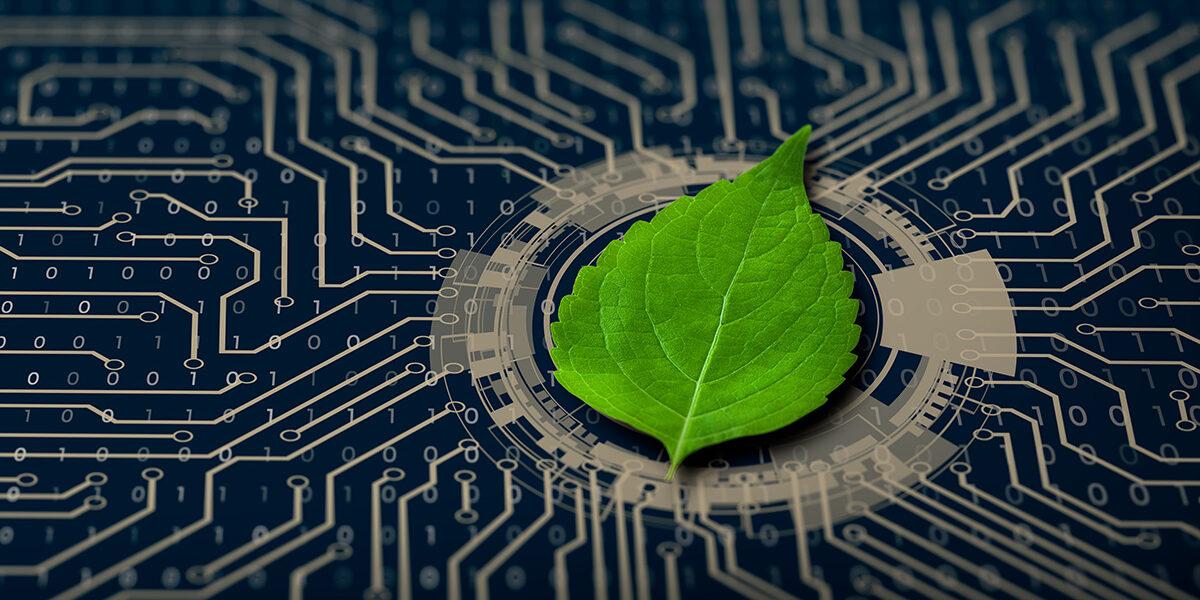 Tecnologia Verde: Aplicativos para Amantes de Plantas