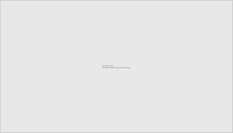 Externadistas en Feria de Empleabilidad Conecta: Oportunidades y Talento 2024